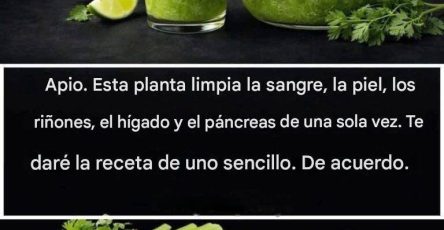 639186046 948991967699511 6271224067529008285 n