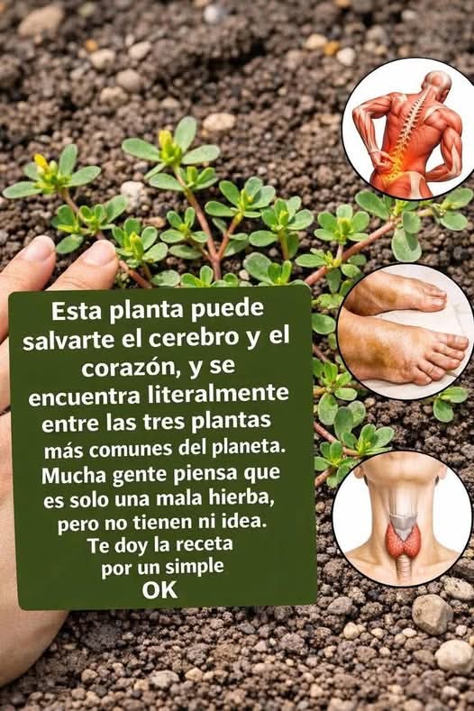 B3d226e1 d51d 41e1 a405 8b974130c505