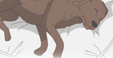 1252401e 1ab5 4208 aa7a 488109e34b62