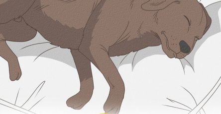 1252401e 1ab5 4208 aa7a 488109e34b62