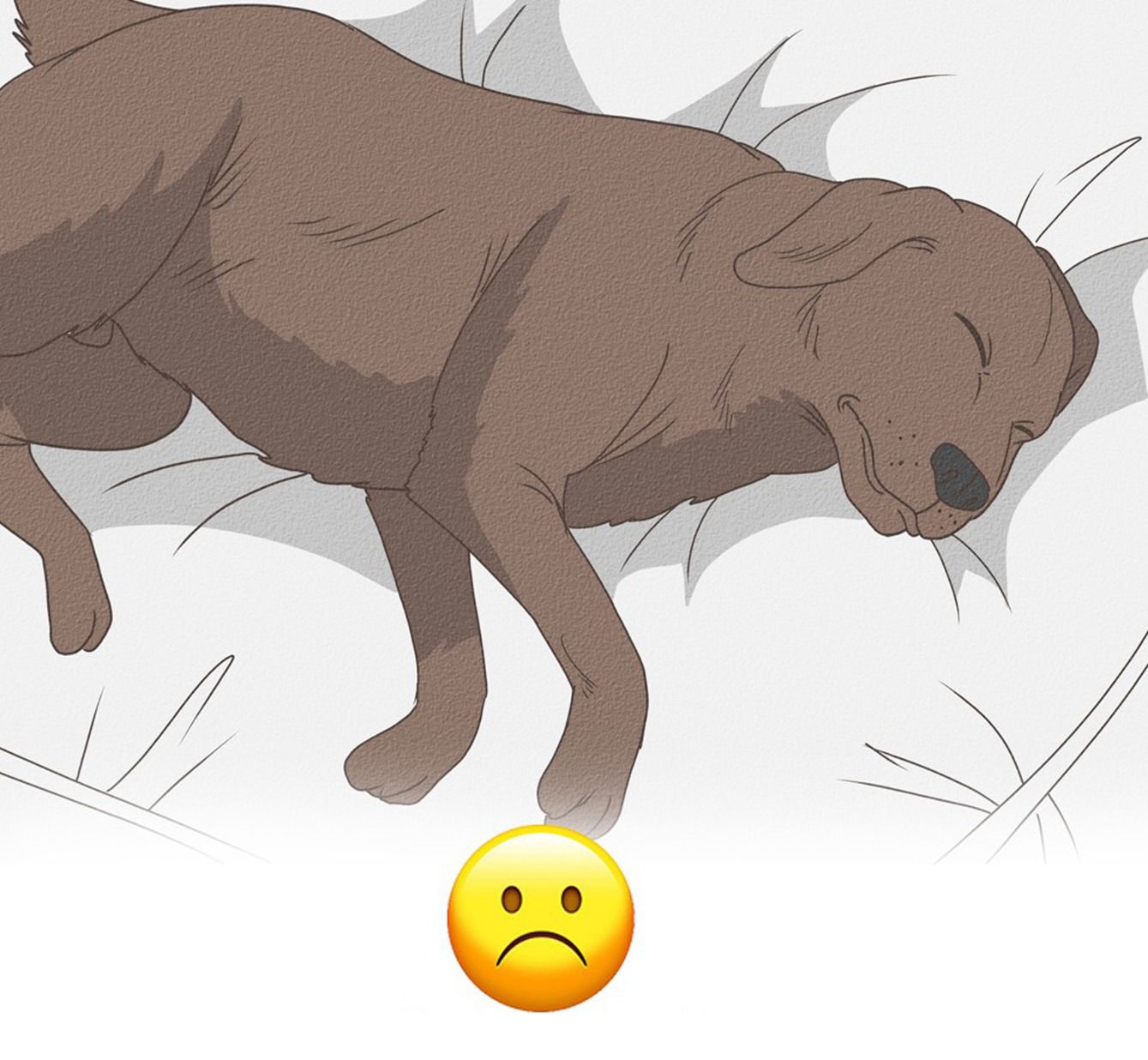 1252401e 1ab5 4208 aa7a 488109e34b62