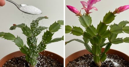 1f81aea36b4f043ad7 copy 758x416 6 1 taha 2 taha taha 2 185 1