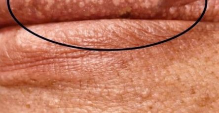 2c9002ec 07f4 4bb5 b11a 4a3602faa654