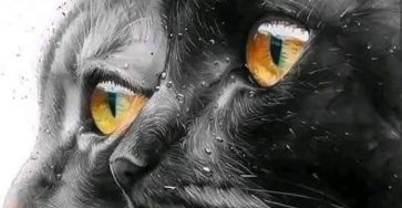 478669558 122155925078364020 7891774500414650537 n 20