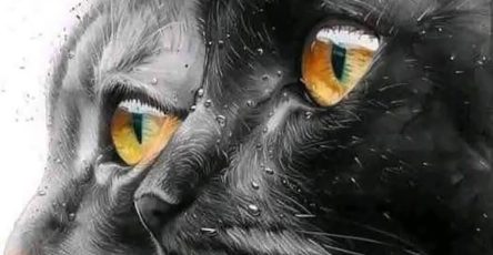 478669558 122155925078364020 7891774500414650537 n 20