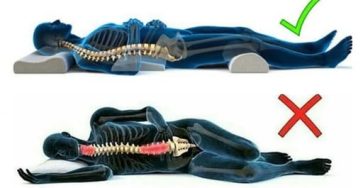 494728891 1100827612081813 2215258885249805294 n