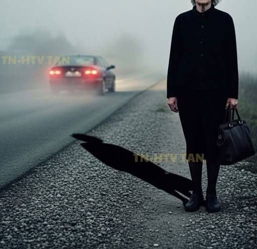 529159764 1187071150130743 3032064951921581065 n e1772584995481