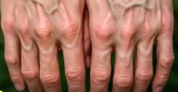 558603096 122222635454111867 694907545324079714 n