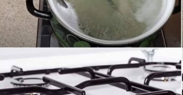 558656993 2264323287420727 5979420587304058970 n