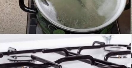 558656993 2264323287420727 5979420587304058970 n