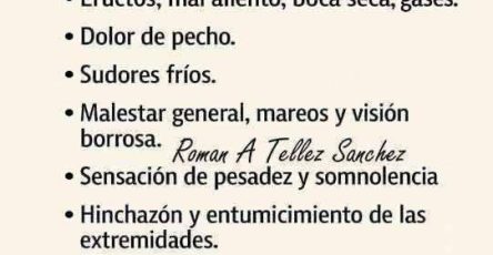 559151213 1750899182363089 4952581560365165645 n