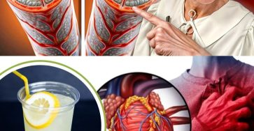 568680669 1444518370536777 41099718865279207 n