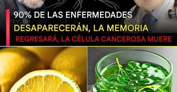 569141065 1445396617115619 1823182716967939676 n