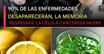 569141065 1445396617115619 1823182716967939676 n