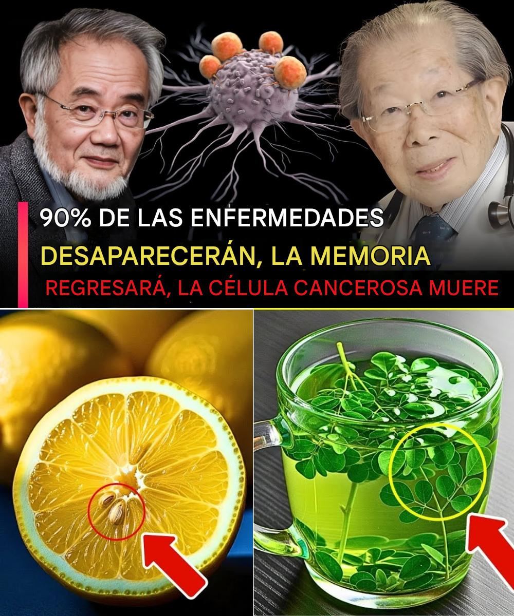 569141065 1445396617115619 1823182716967939676 n