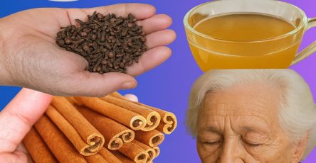 571124886 1444577797197501 4911452112605855331 n