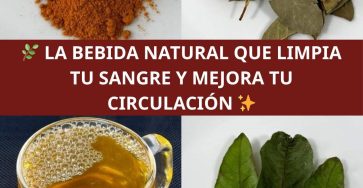 571181747 1445077623814185 3904686265661118882 n