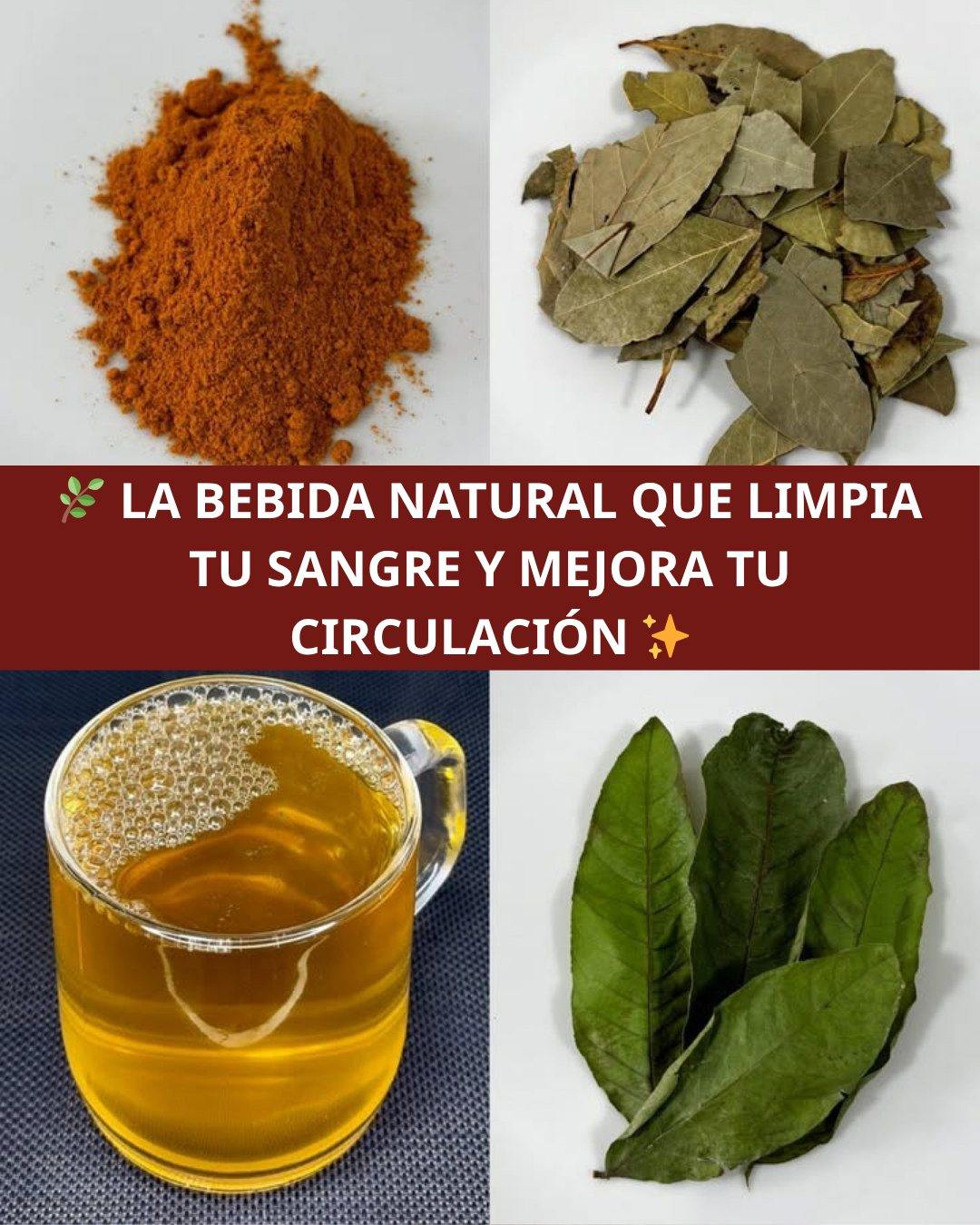 571181747 1445077623814185 3904686265661118882 n