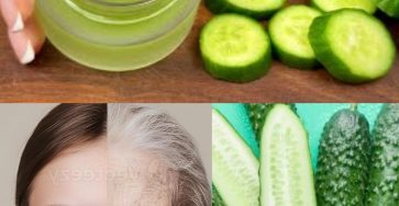 574267058 1452023623119585 8846208818181404297 n