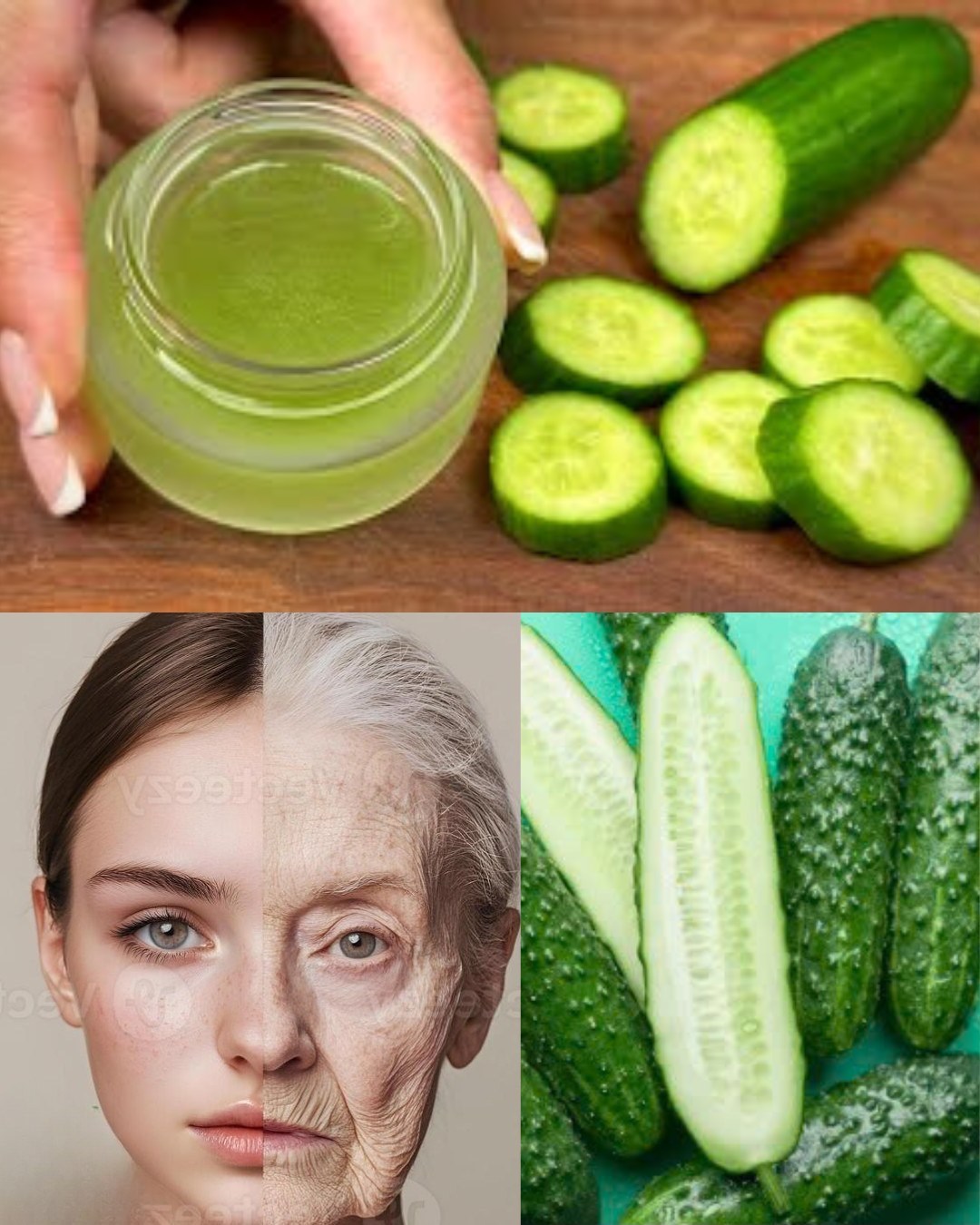 574267058 1452023623119585 8846208818181404297 n