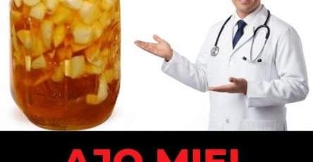 574322185 1453024656352815 5955619289669628823 n