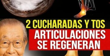 574345790 1457424252579522 3597798033983067180 n