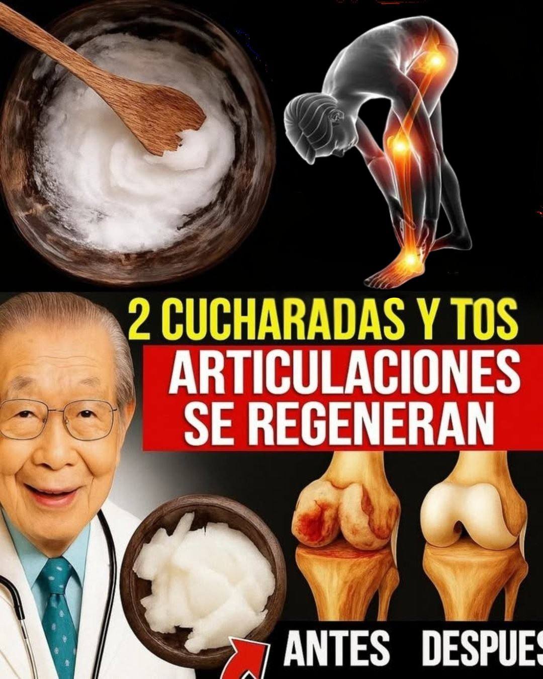 574345790 1457424252579522 3597798033983067180 n