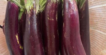 578259524 1392801005571928 681732096700073112 n