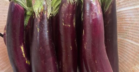 578259524 1392801005571928 681732096700073112 n