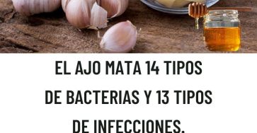 583318400 1469478344707446 4582550717097887094 n