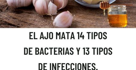 583318400 1469478344707446 4582550717097887094 n