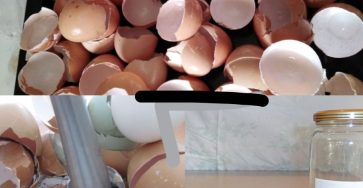 586553157 1183789820622647 2198197622625699741 n