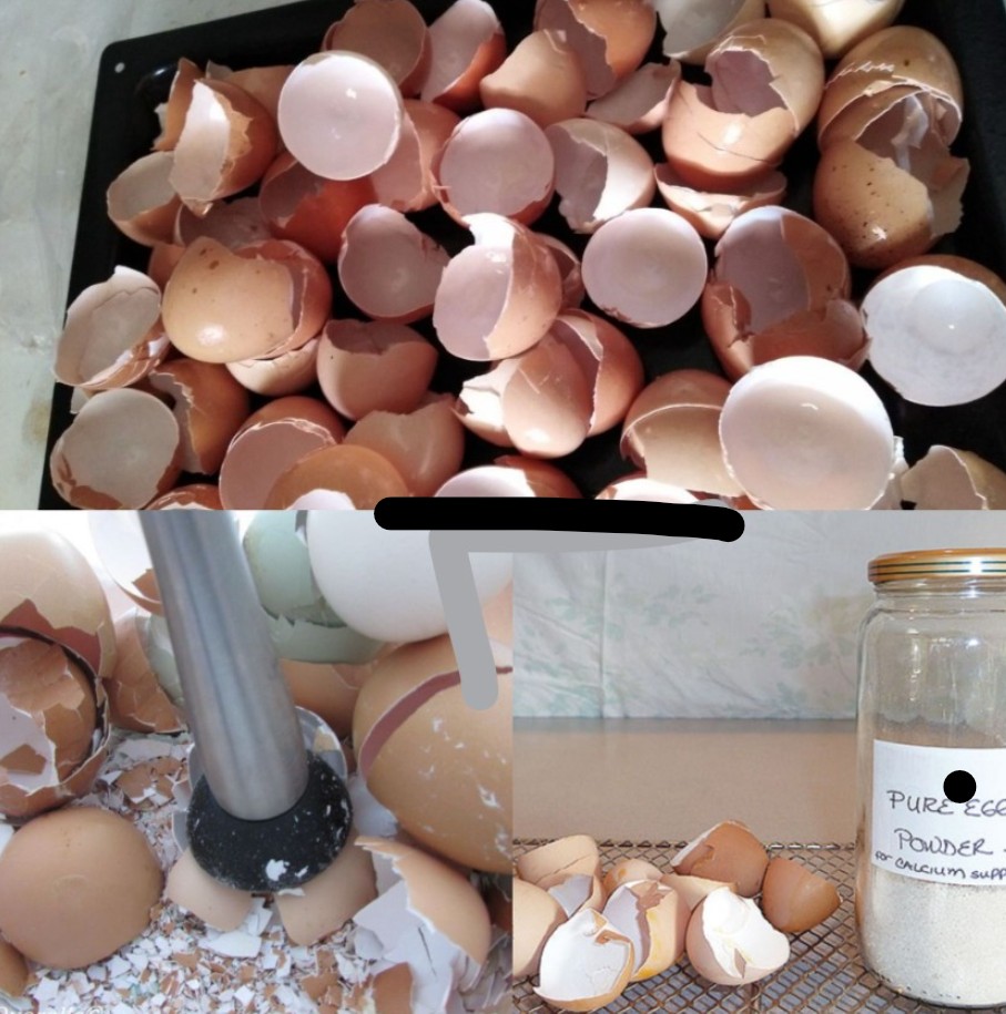 586553157 1183789820622647 2198197622625699741 n