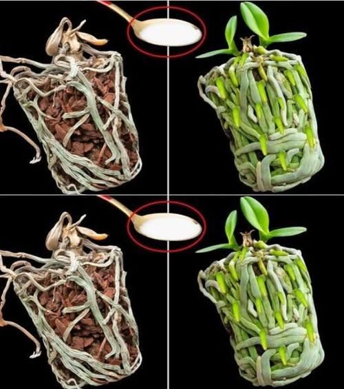 590247709 122239040474131801 3362315588888687153 n 1