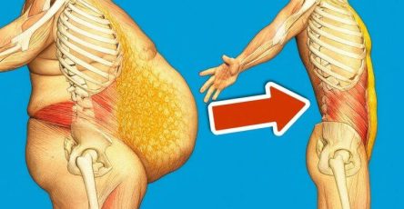 595866362 886781110700270 7260927682057141870 n