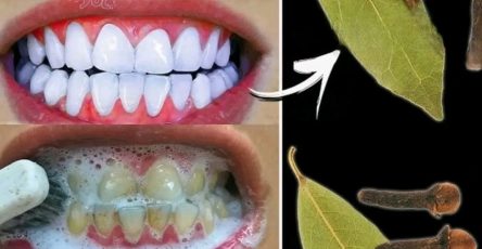 5baa513f 9ac3 4b2b 9a39 c050e71ed5b4