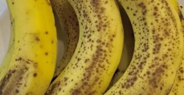 603080185 1449020043206642 5156507135383873699 n 768x922