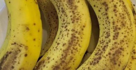 603080185 1449020043206642 5156507135383873699 n 768x922