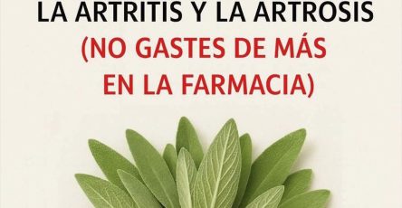 606808801 1401320058069966 1290711287272417802 n