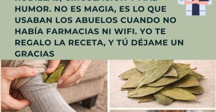 607641051 1504789707842976 1899022178606678804 n