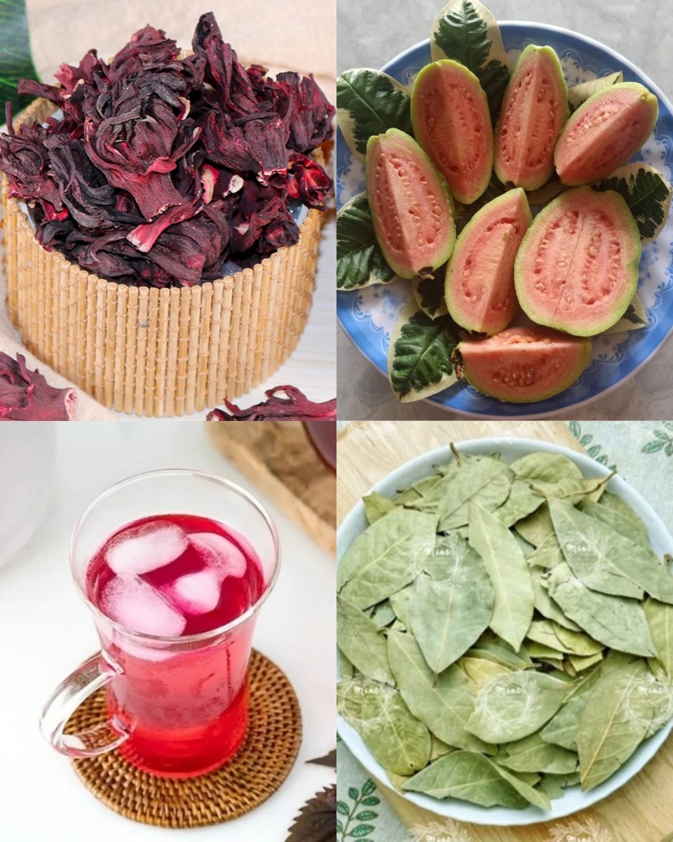 608049927 1504561197865827 1626550197355565025 n