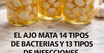 612036389 921997143850637 5421287067132221536 n