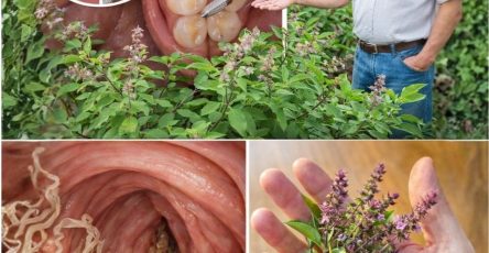 615254218 1513657303622883 128658551236590635 n