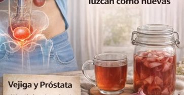 616202516 1513802136941733 4617735216722950478 n