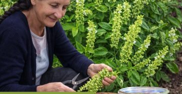 620154738 1519710039684276 5817178360260474237 n