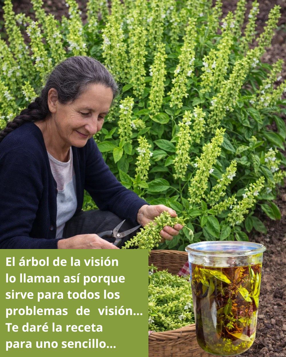 620154738 1519710039684276 5817178360260474237 n