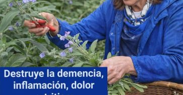 623286522 1529423255379621 8149736397010002033 n