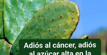 625986271 1655180469184528 730206627966421218 n