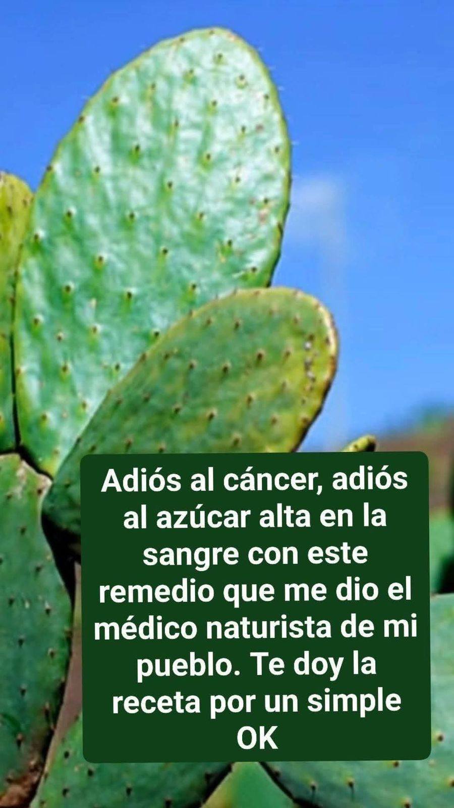 625986271 1655180469184528 730206627966421218 n