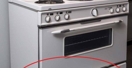 626653532 1822776255089489 239175097501084391 n